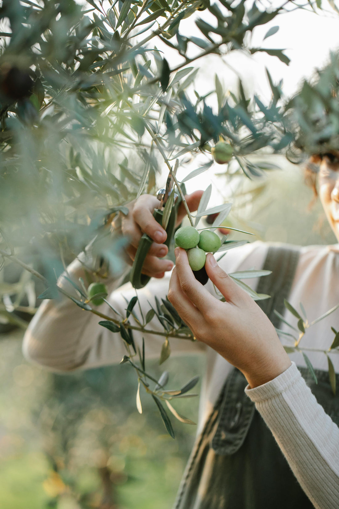 The Power of Nutral Beauty Argan Oil: Nature's Liquid Gold